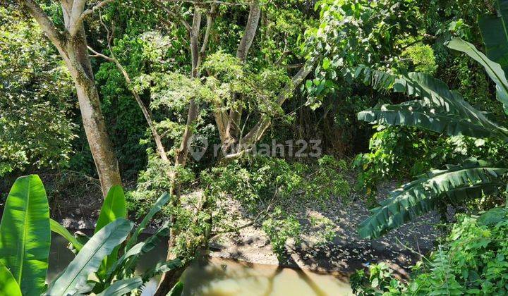 Land for sale in Cempaka location 1