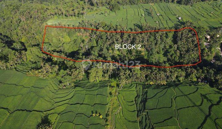 Land for sale in Kenderan location 1