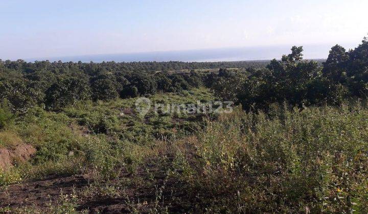 Land for sale in Kubu location 1