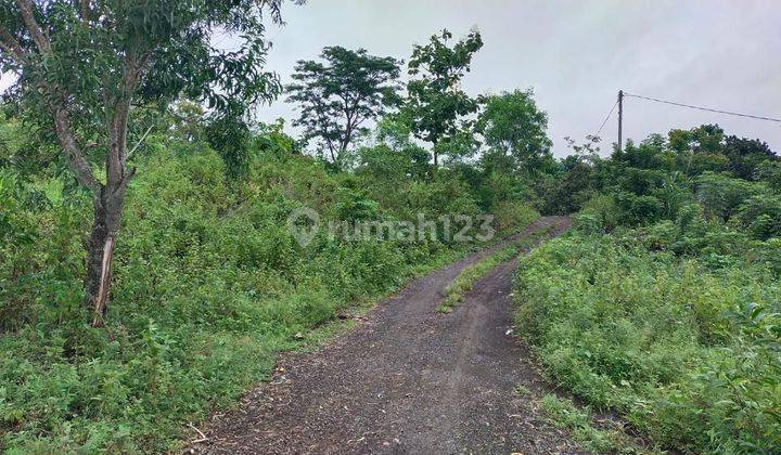 Land for sale in Kubu location 1