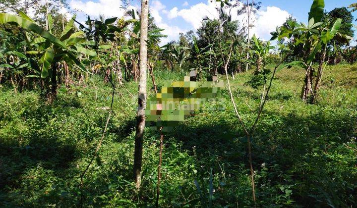 Land for sale in Tampaksiring location 2