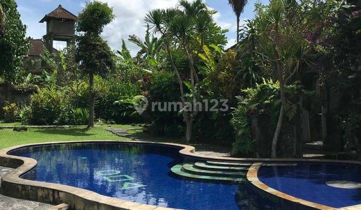 Villa for sale Ubud location 1