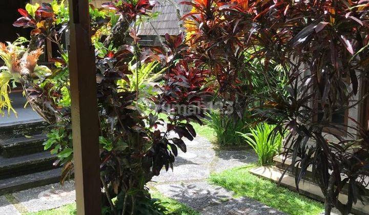 Villa for sale Ubud location 2