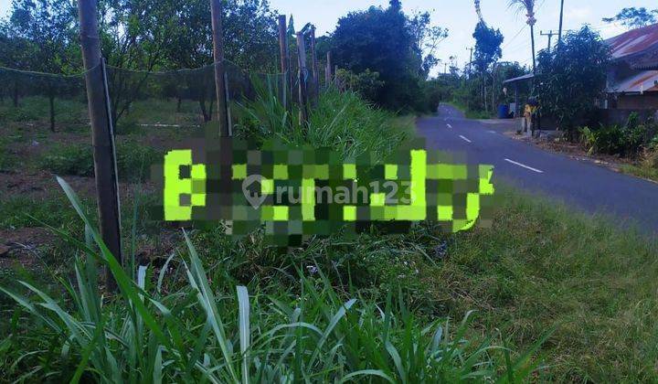 Land for sale in Kintamani location 1