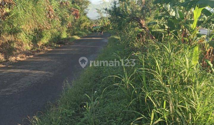 Tanah Jual Lokasi Wanagiri 1