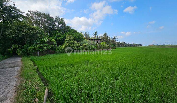 Land for sale in Tibubiu location 1