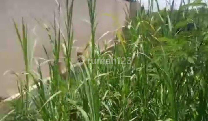 Land for sale in Kedungu location 2