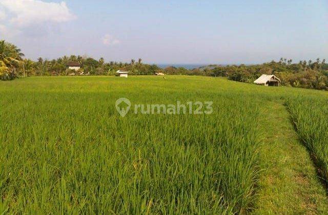 Land for sale in Antap location 2