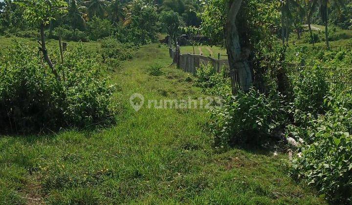 Land for sale in Antap location 2