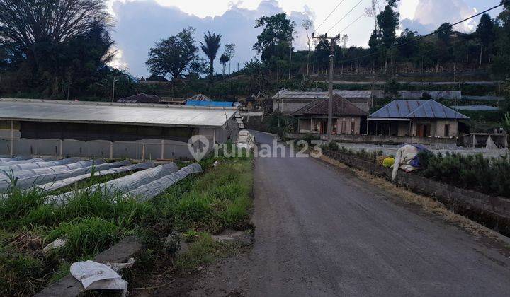 Tanah Jual Lokasi Bedugul 2