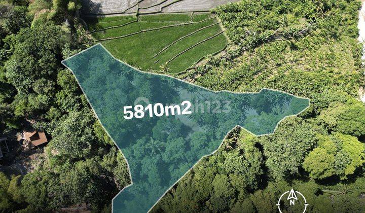 Land for sale in Tumbak Bayuh location 1