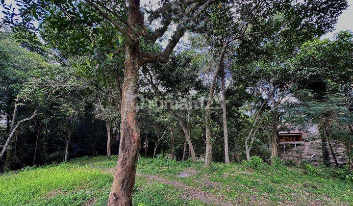 Land for sale in Tumbak Bayuh location 2