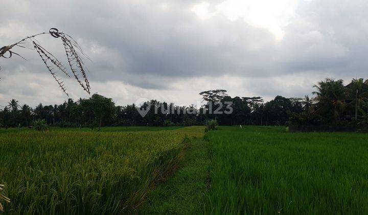 Tanah Jual Lokasi Tegallalang 1