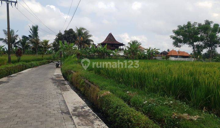 Tanah Jual Lokasi Tegallalang 2