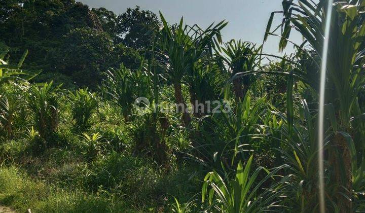 Land for sale in Tiying Tutul location 1