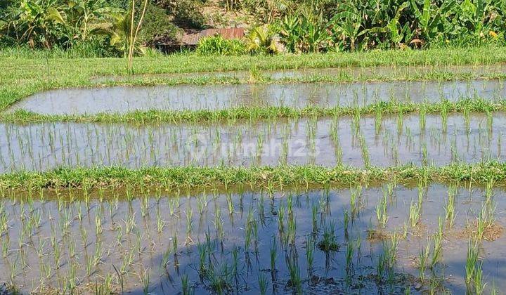 Tanah Jual Lokasi Lalanglinggah 1