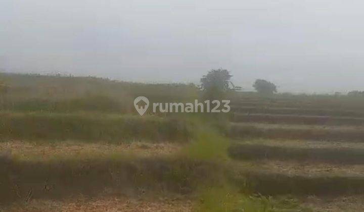 Land for sale in Tibubiu location 1