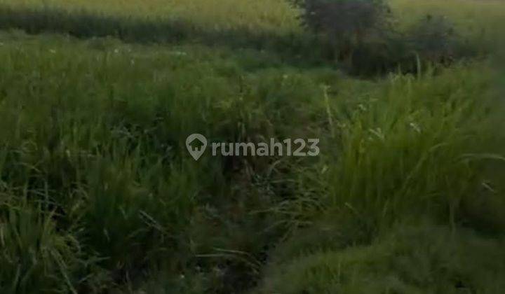 Land for sale in Pasut location 2