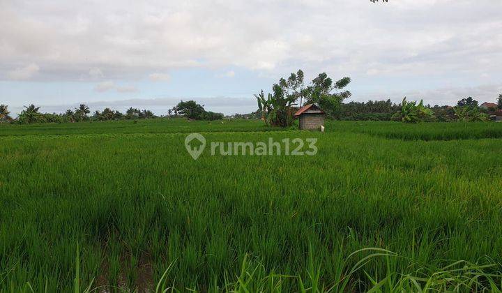 Land for sale in Angantaka location 1