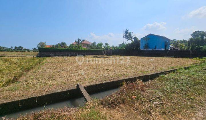 Land for sale in Tibubiu location 1