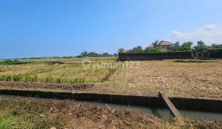 Land for sale in Tibubiu location 2