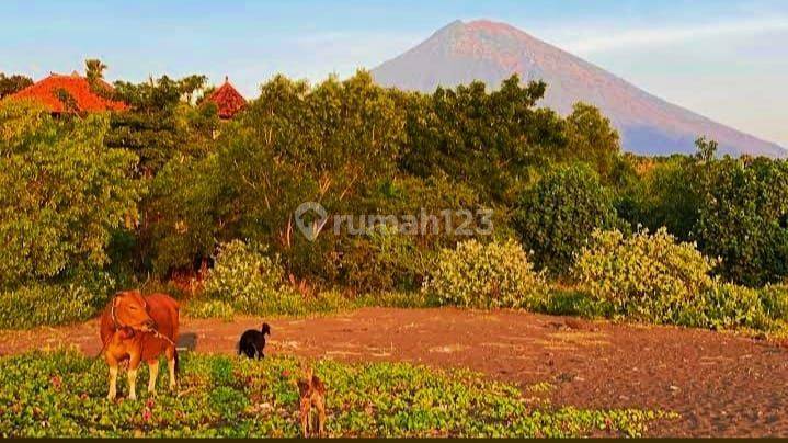 Tanah Jual Lokasi Abang 1