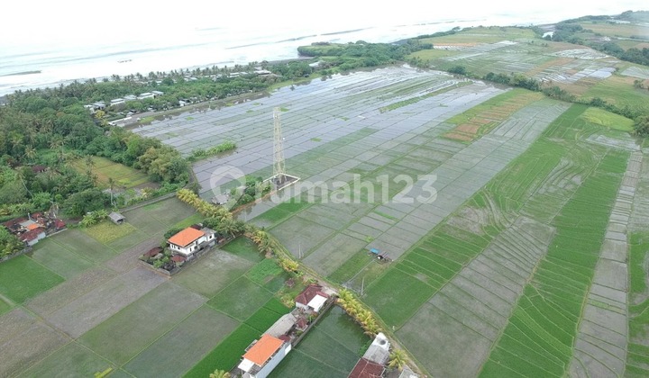 Tanah Jual Lokasi Kelating