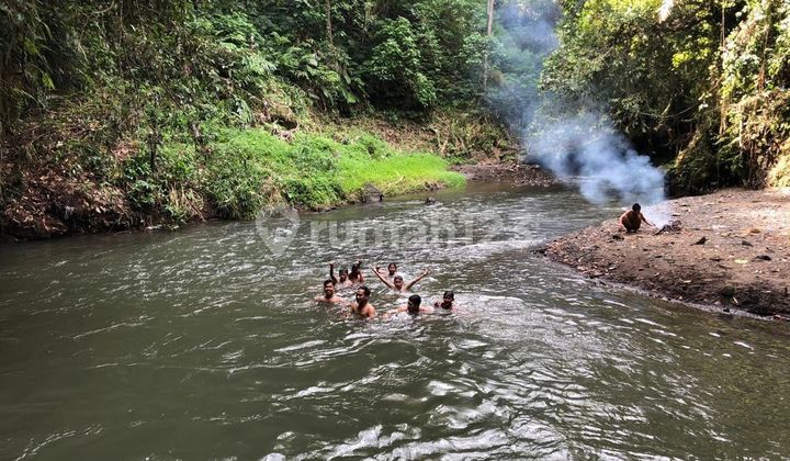 Tanah Jual Lokasi.blahbatuh Tanah Jual Lokasi.blahbatuh