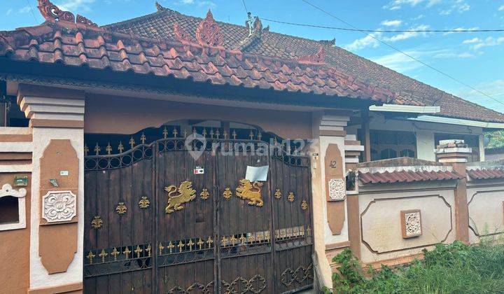 Rumah Minimalis Siap Huni di Muding SHM  1