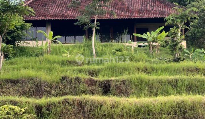 Tanah Daerah Lovina Dengan View Lovina Beach 2