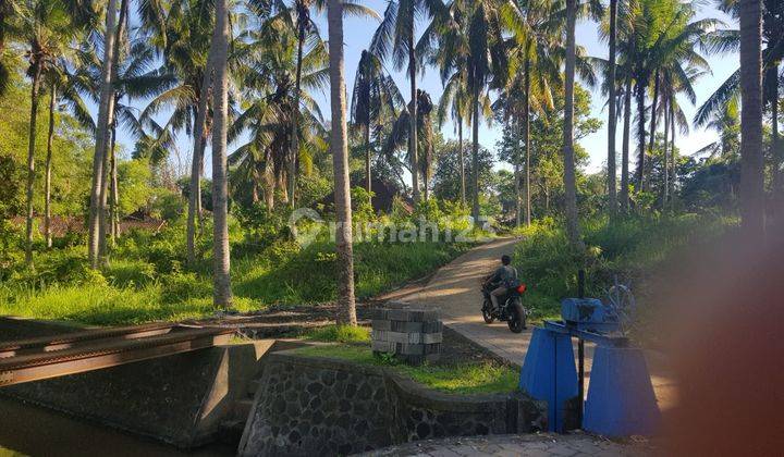 Land Ubud Gianyar for sale 1