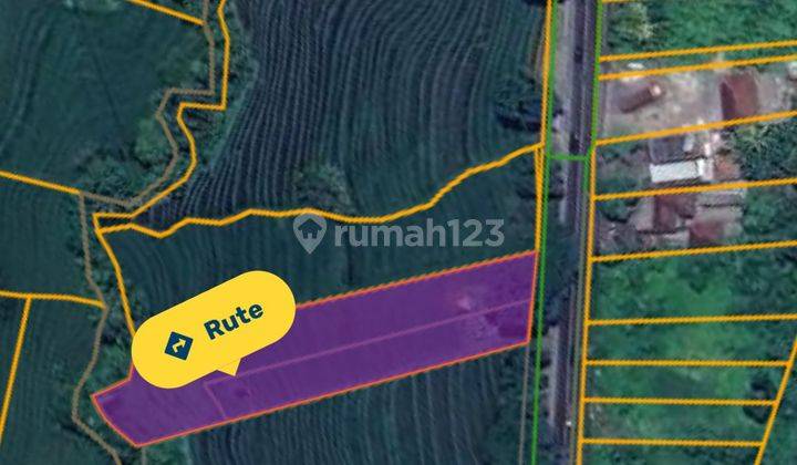 Strategic land for sale in Antap Tabanan 1