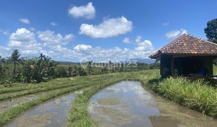 Strategic land for sale in Antap Tabanan 2