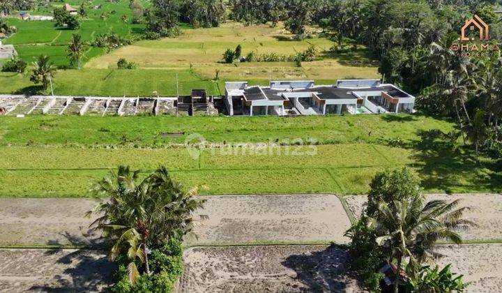 Land for rent in Tampaksiring  1