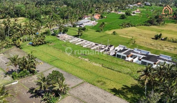 Land for rent in Tampaksiring  2