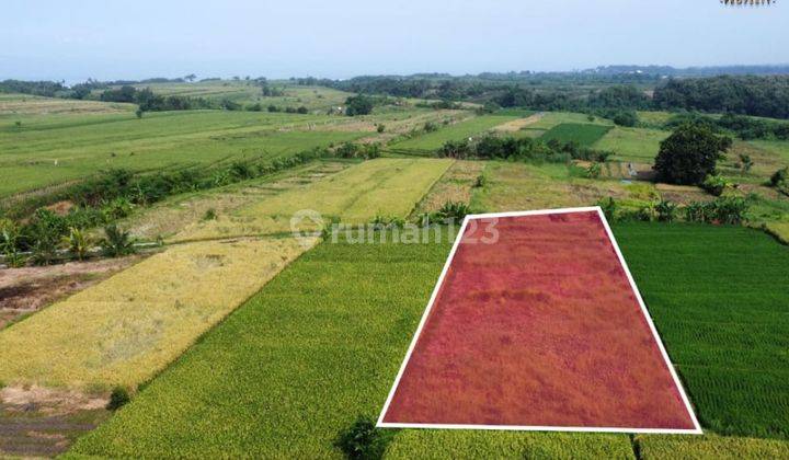 TANAH PREMIUM LOKASI STRATEGIS ZONA PINK 2