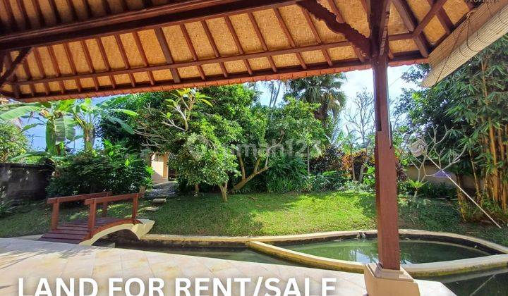 VILLA PREMIUM LUAS NYAMAN TENANG UBUD 1