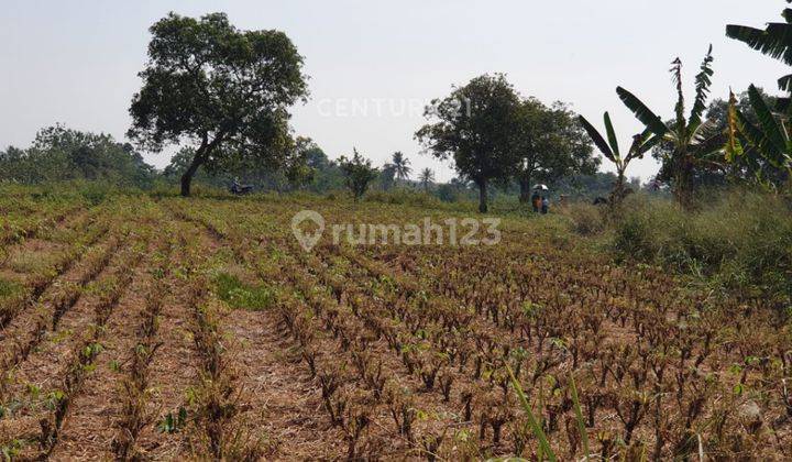 Lahan Tanah Luas Strategis Dikawasan Parung S8196 1