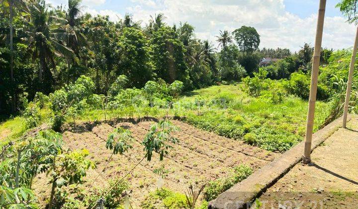 Tanah Cocok Untuk Investasi Di Batuan Gianyar S7916 2