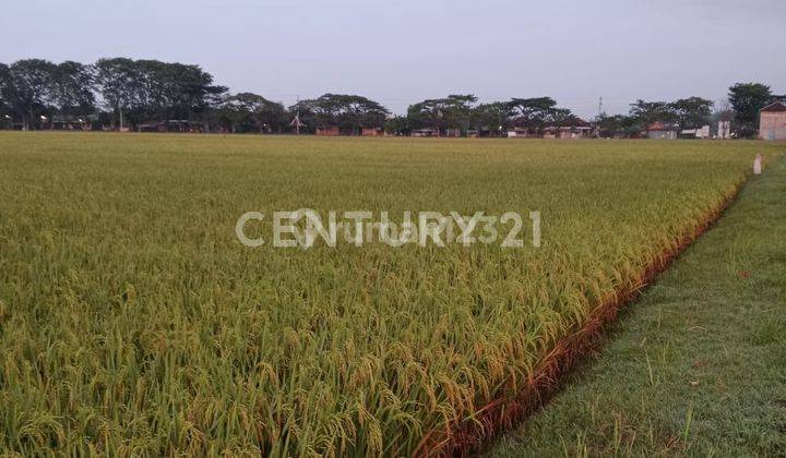 Tanah Lokasi Strategis Di Sonorejo Sukoharjo R1852 2