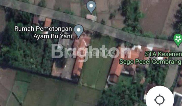 TANAH SAWAH DI PURWOREJO 2