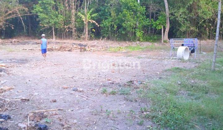 TURUN HARGA 250juta/m² TANAH LUAS DI BANTUL 2