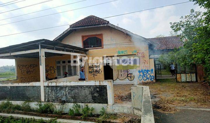 TANAH, RUMAH DAN SAWAH DI PANDAK BANTUL 1