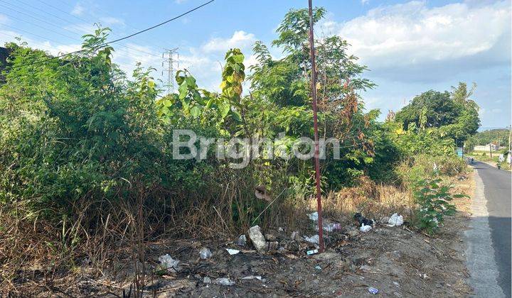 TANAH LUAS SIAP BANGUN LOKASI STRATEGIS DAERAH PUSAT WISATA DAN VILLA DI PINGGIR JALAN RAYA KASONGAN BANGUNJIWO KASIHAN BANTUL 2