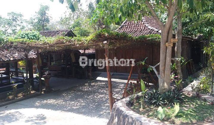 TANAH BONUS RESTO DI PENGASIH KULON PROGO 1