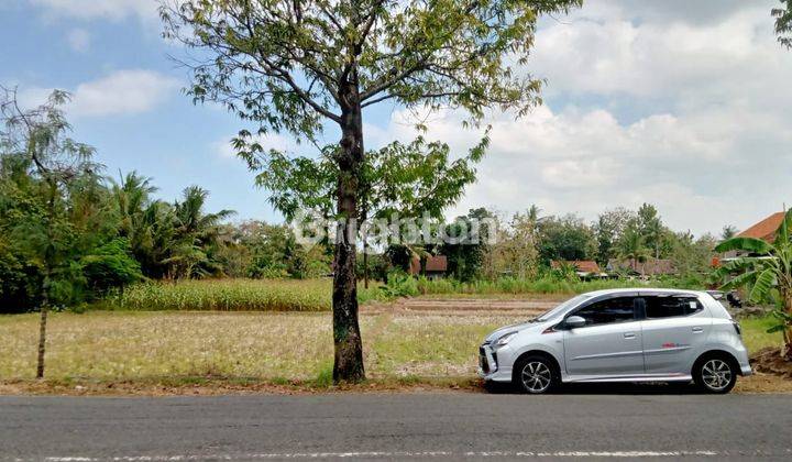 TANAH SAWAH DI MARGOSARI PENGASIH KULON PROGO 2