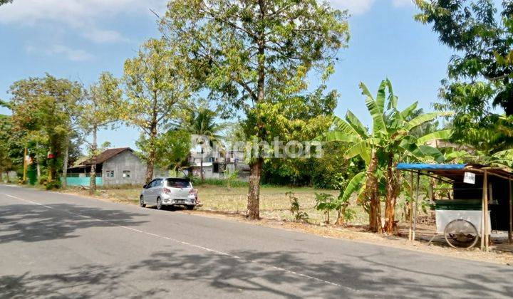 TANAH SAWAH DI MARGOSARI PENGASIH KULON PROGO 1