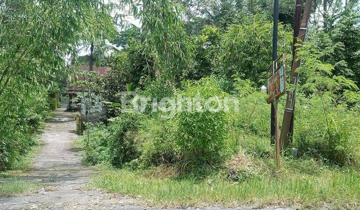 TANAH DAN PENGINAPAN DEKAT SURALOKA ZOO KALIURANG 1