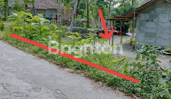 MURAH BANGET... TANAH PEKARANGAN DI BANTUL CUMA 100 JUTA 1