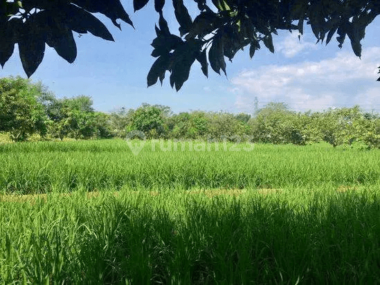 Tanah Strategis 81.386 m2, Jatisari, Karawang(J,c2) 1